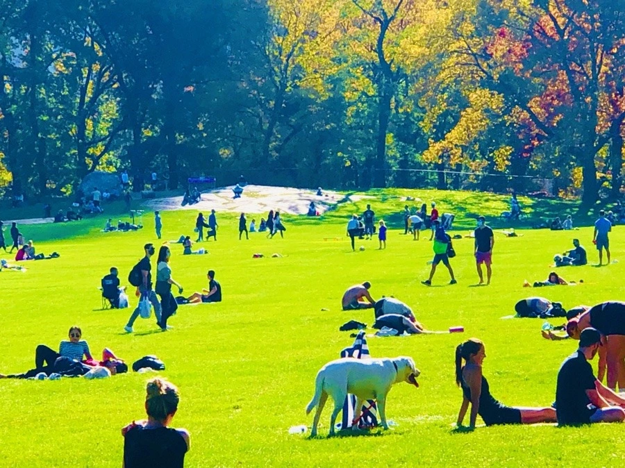 4FeIgZ2Wu_NSGIwZnnhJISKdd3o