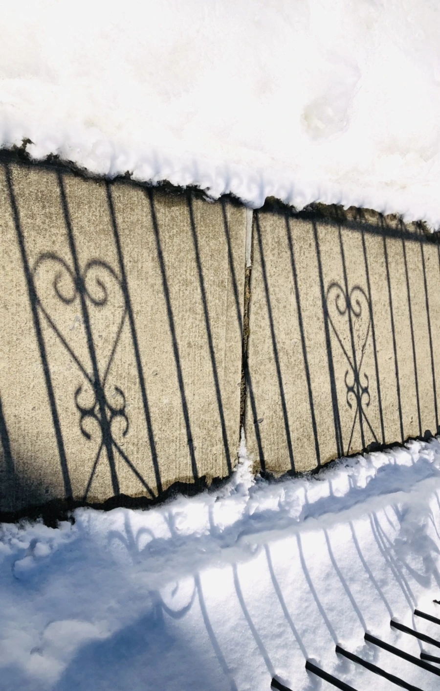 IMG_3930.jpg?type=w966