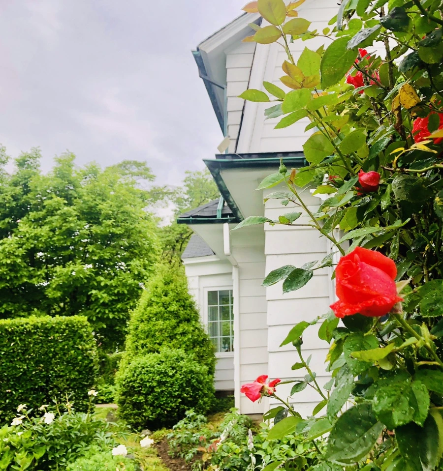 IMG_8112.jpg?type=w966