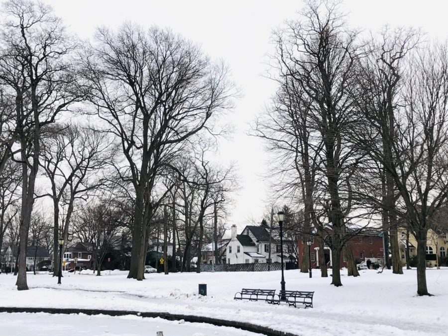 IMG_4385.jpg?type=w966