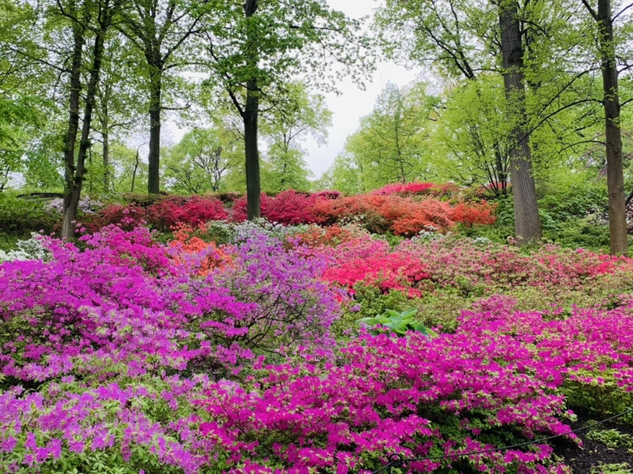 IMG_9928.jpg?type=w966