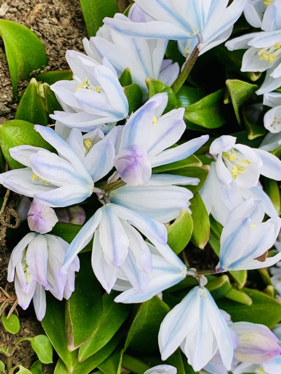 IMG_1715.jpg?type=w966