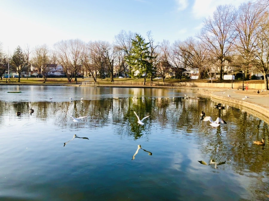 IMG_2664.jpg?type=w966