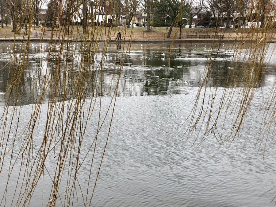 IMG_3201.jpg?type=w966