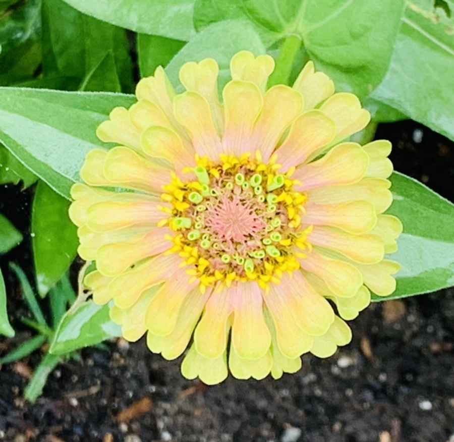 IMG_9557.jpg?type=w966