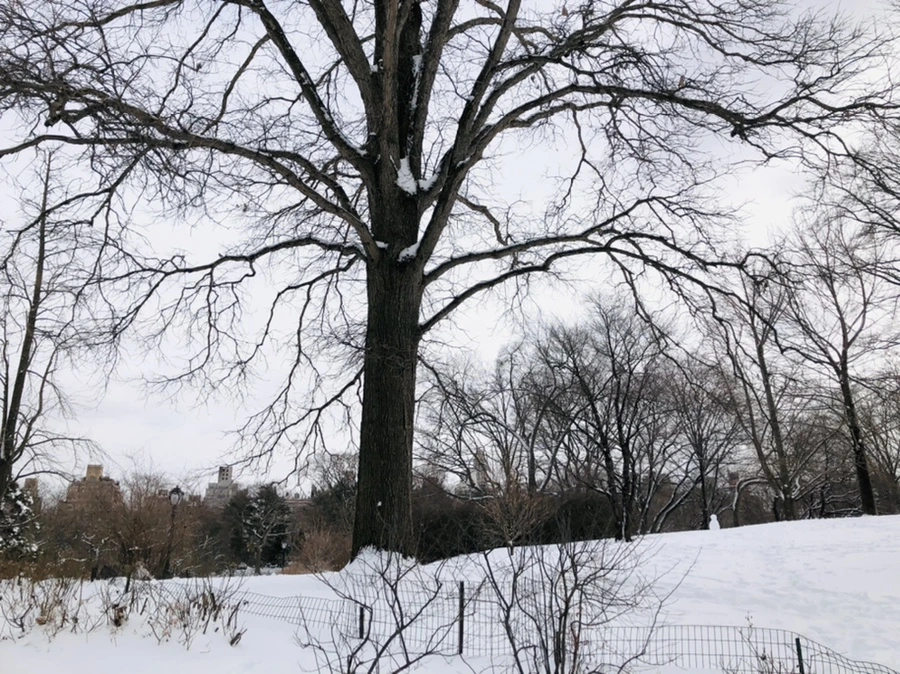 IMG_9459.jpg?type=w966