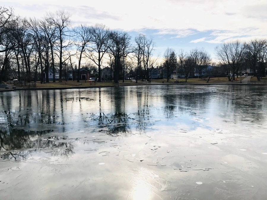 IMG_4741.jpg?type=w966