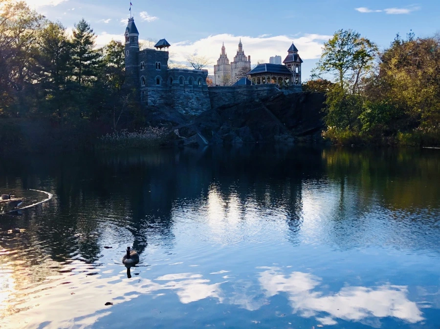 IMG_5007.jpg?type=w966