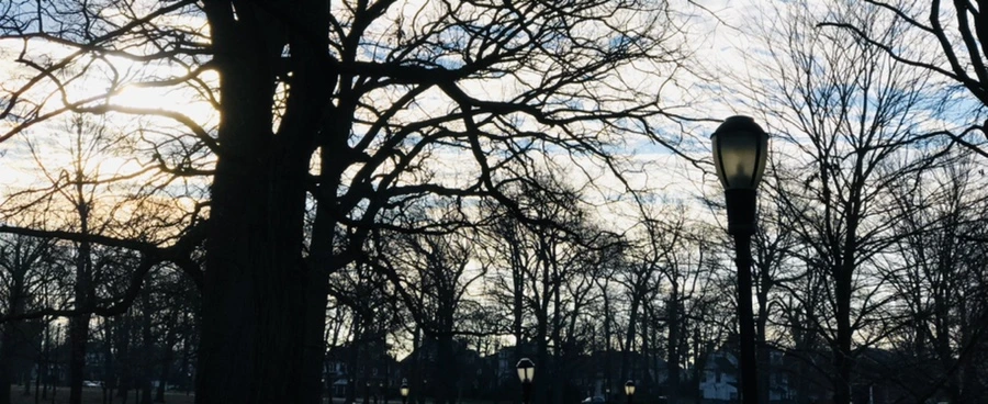 IMG_0160.jpg?type=w966