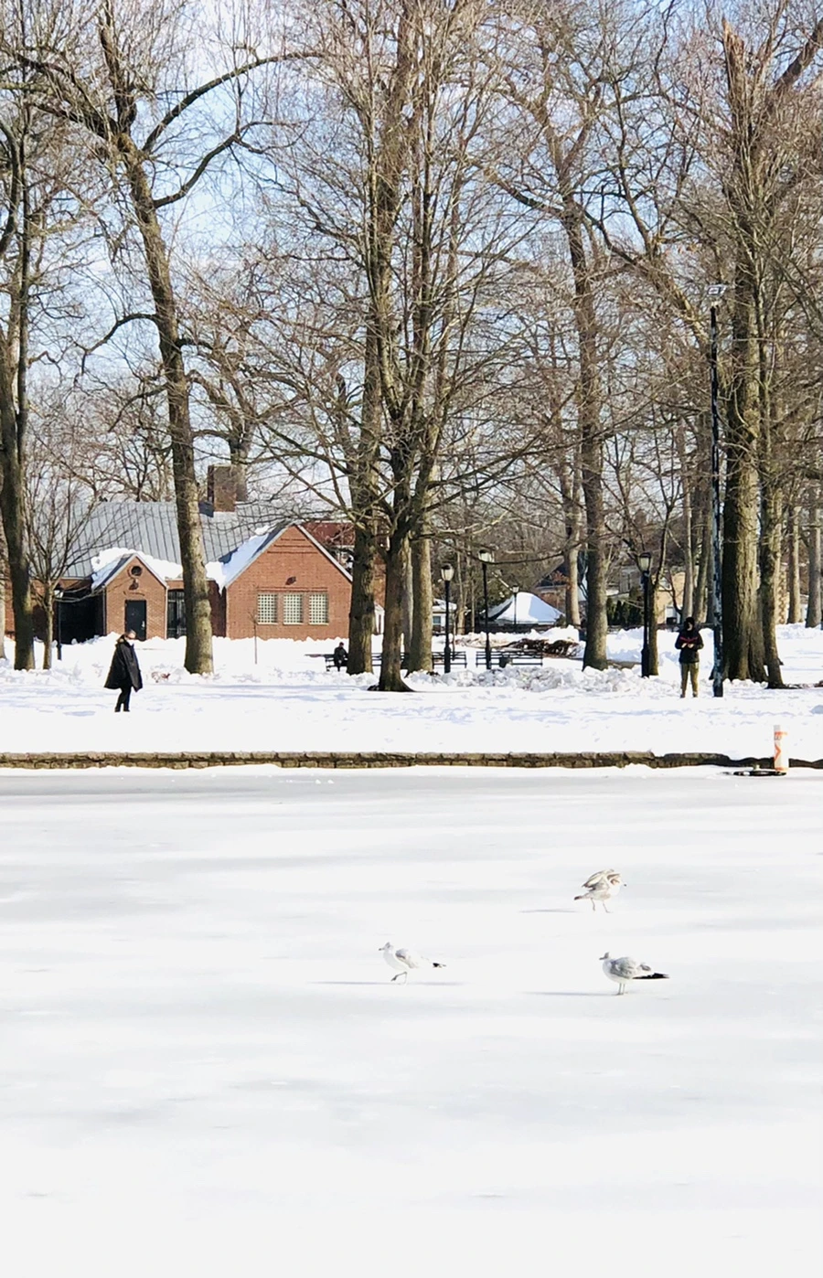 IMG_0167.jpg?type=w966