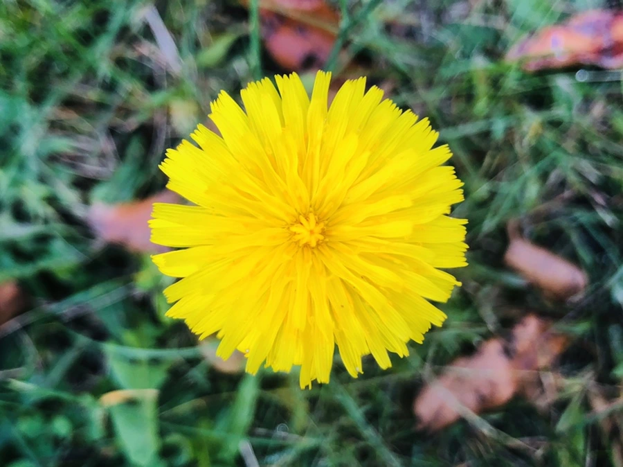 IMG_2165.jpg?type=w966