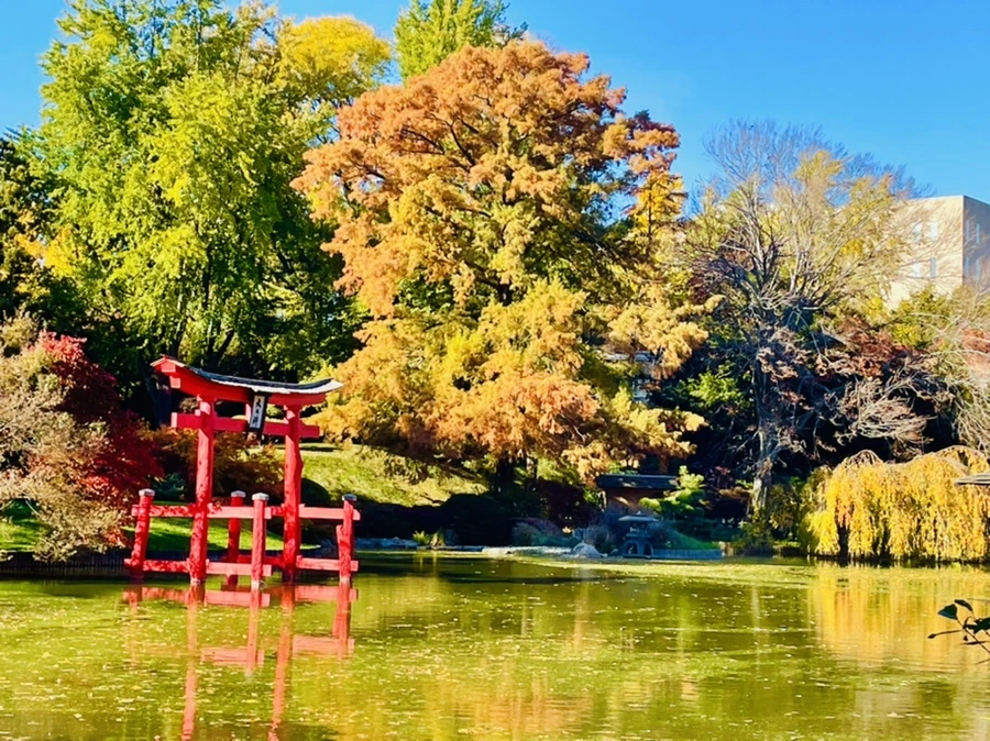 IMG_2034.jpg?type=w966