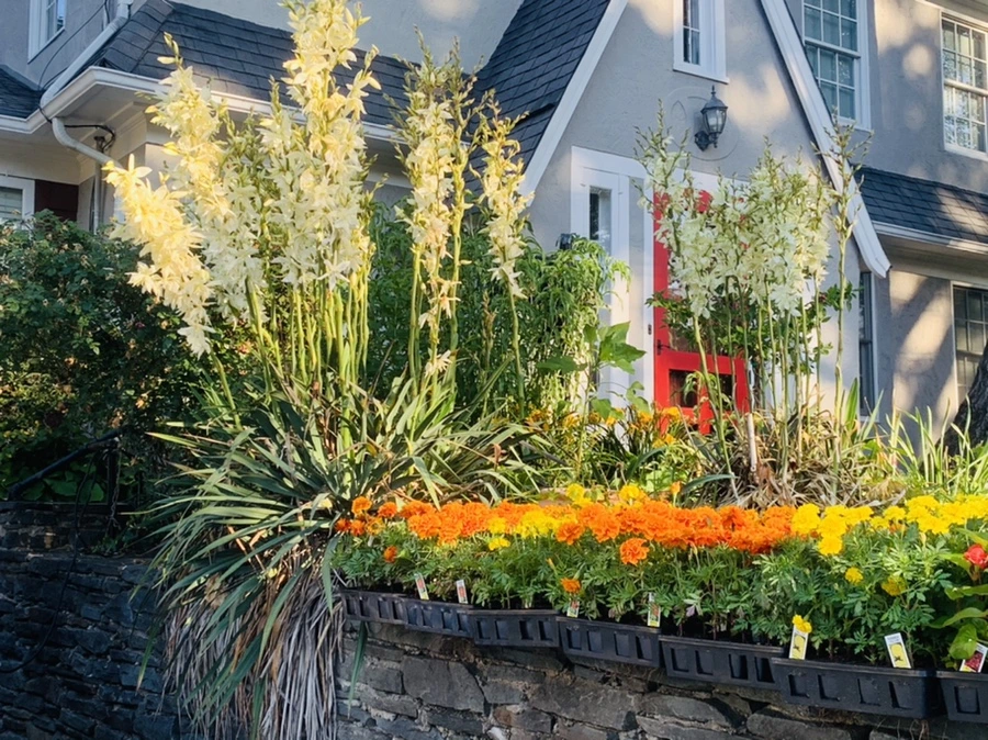 IMG_3972.jpg?type=w966