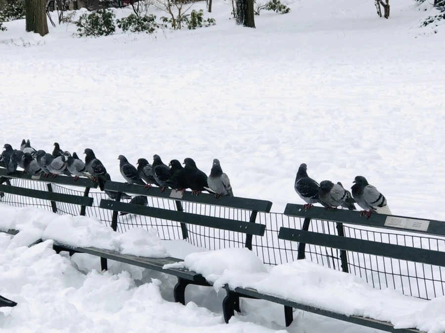 jpQ3Ol8IwPIZoyXo1zUuzcJt1nE