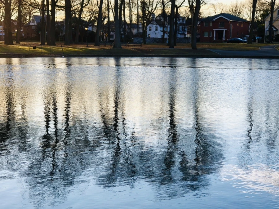 IMG_0909.jpg?type=w966