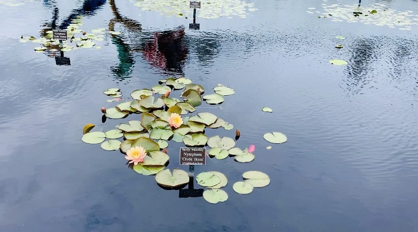 IMG_8626.jpg?type=w966