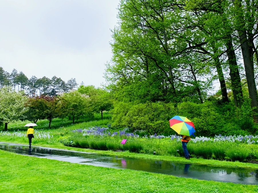 IMG_9911.jpg?type=w966