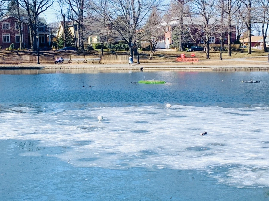 IMG_6921.jpg?type=w966