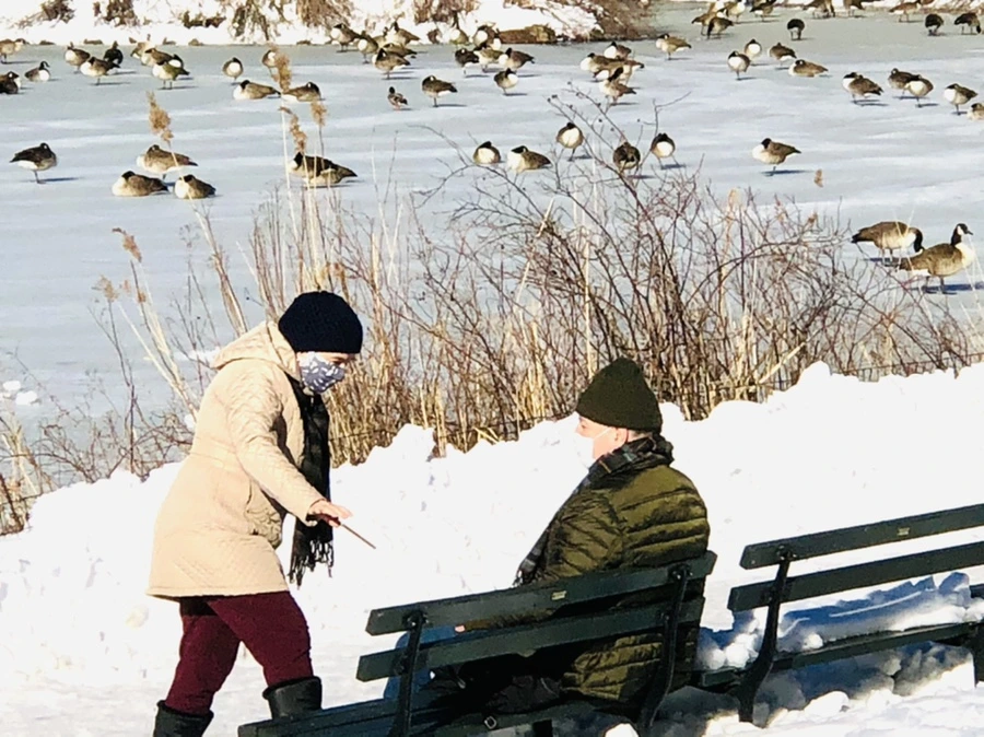 IMG_9802.jpg?type=w966