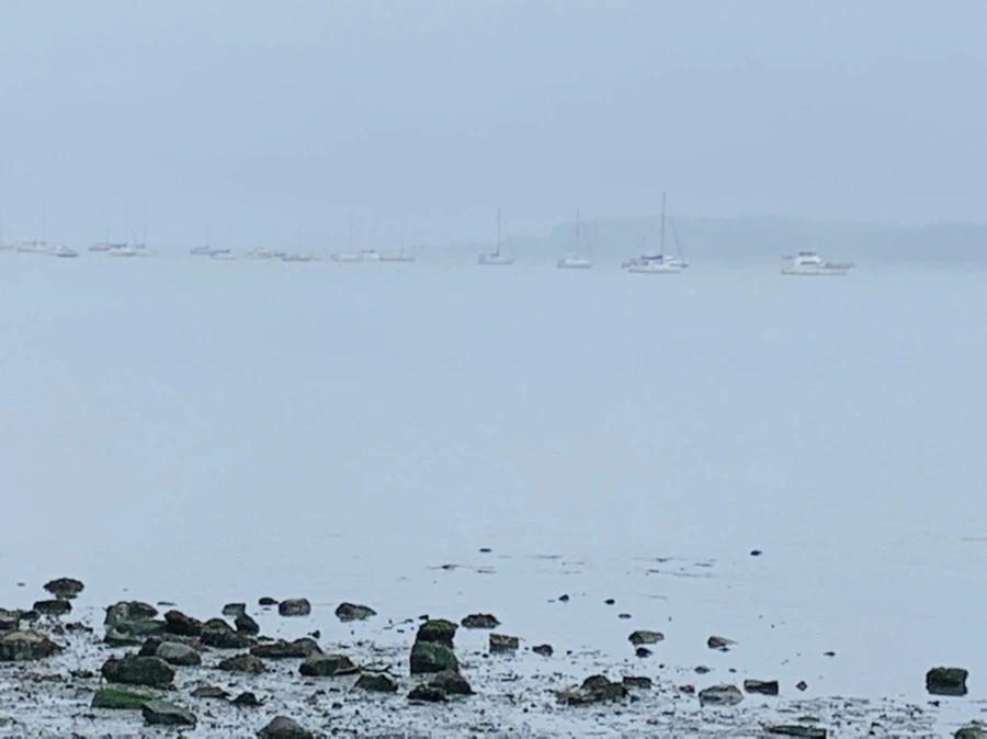 IMG_4748.jpg?type=w966