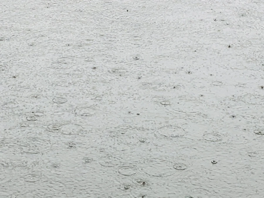 IMG_2079.jpg?type=w966