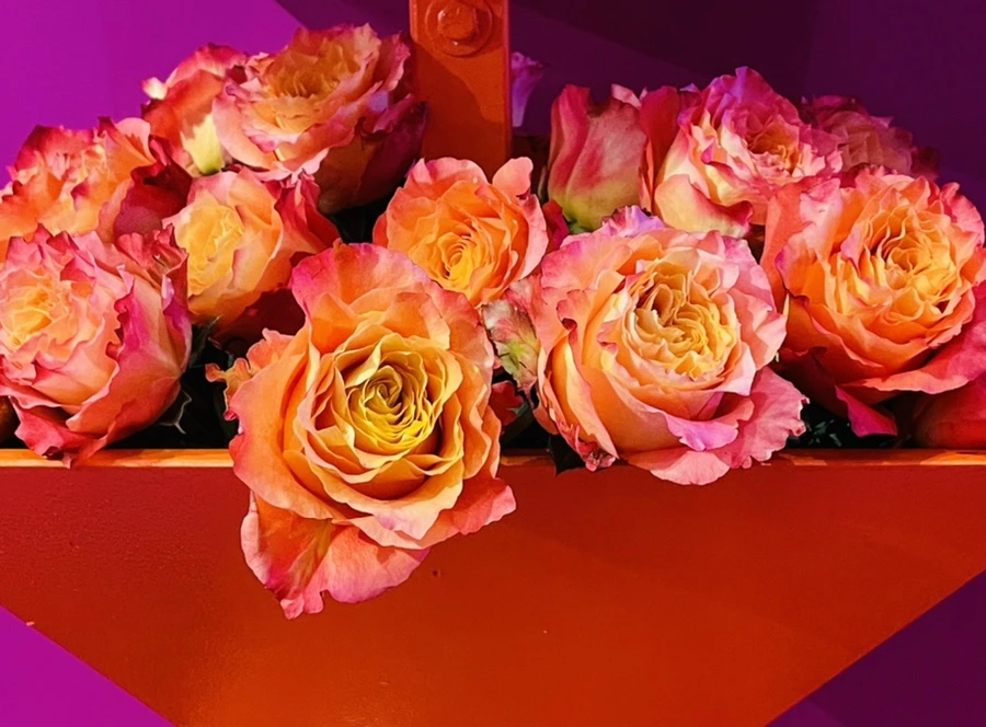 IMG_7619.jpg?type=w966