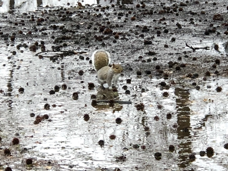 IMG_5724.jpg?type=w966