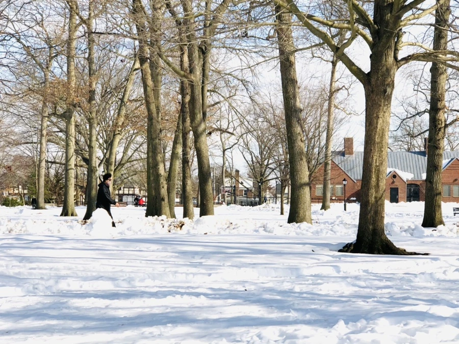 IMG_0103.jpg?type=w966