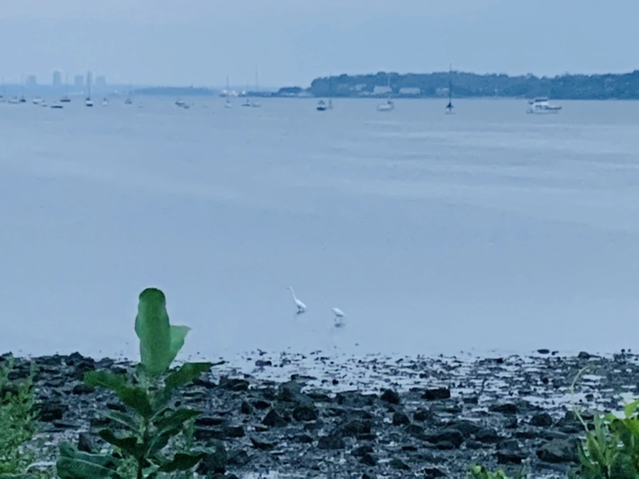 IMG_0700.jpg?type=w966