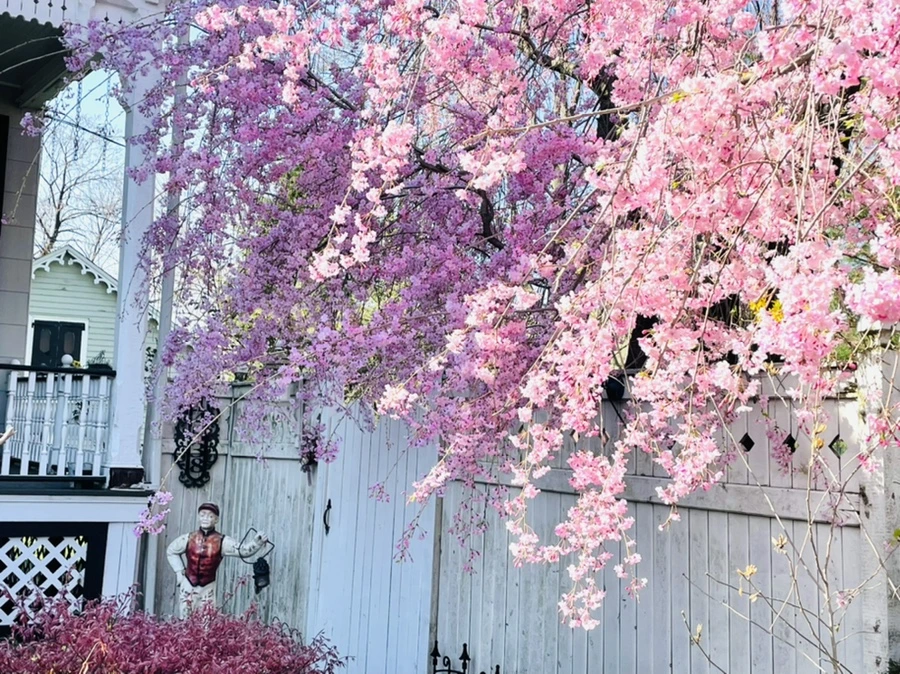 IMG_0510.jpg?type=w966