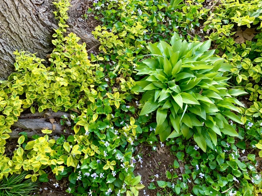 IMG_4115.jpg?type=w966