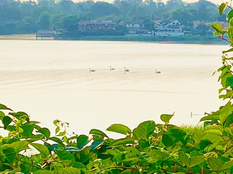 IMG_2220.jpg?type=w966