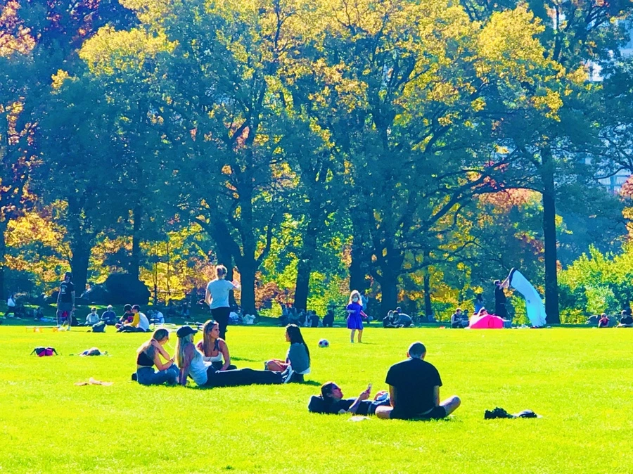 IMG_3814.jpg?type=w966