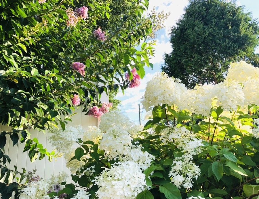 qvdtPHD5psn2kGwZKpjZAgdV0qI