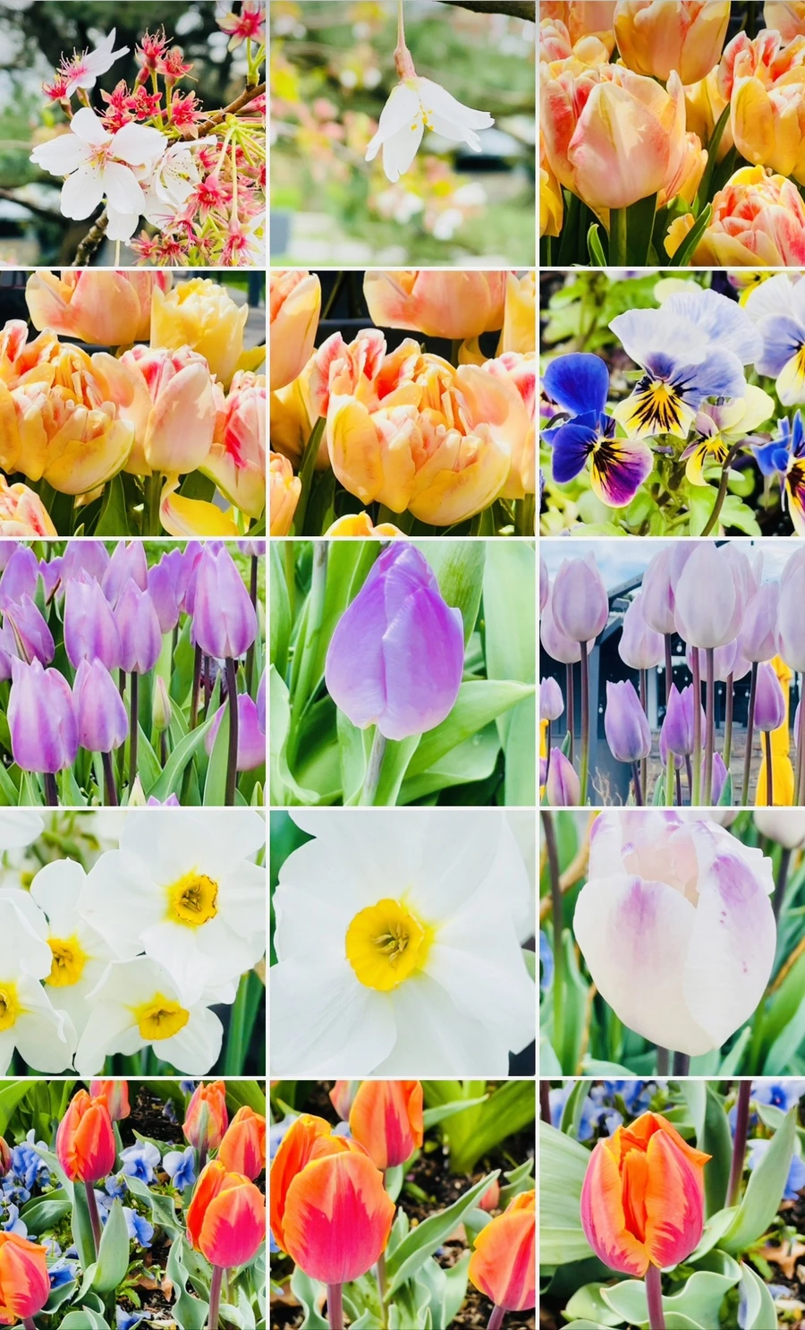 IMG_1433.jpg?type=w966