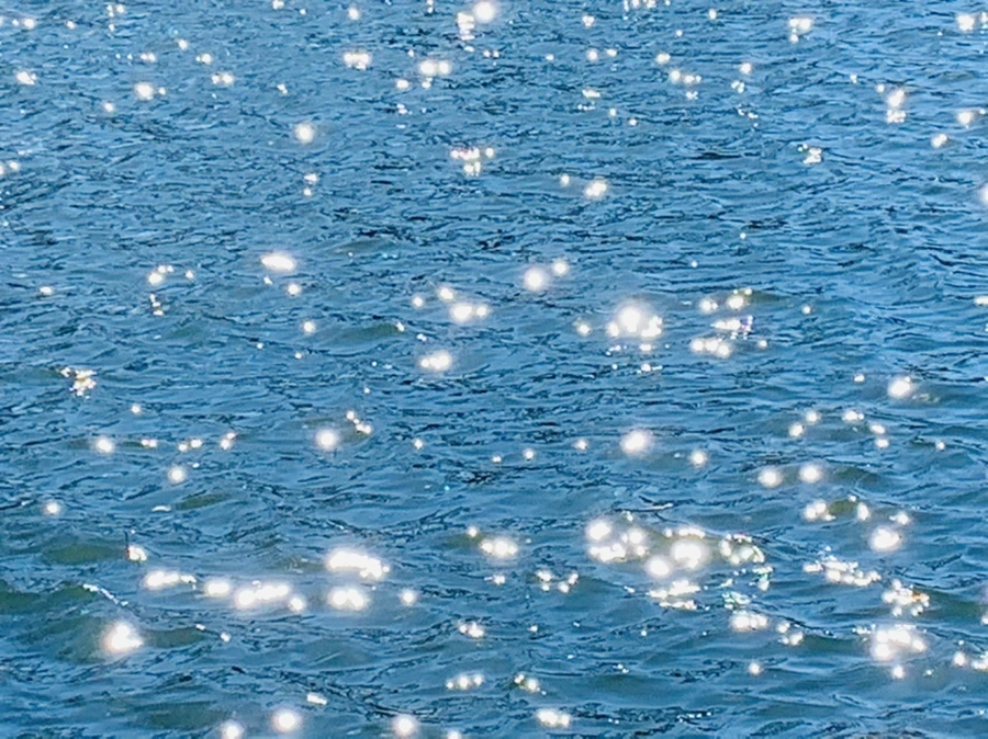 IMG_7566.jpg?type=w966