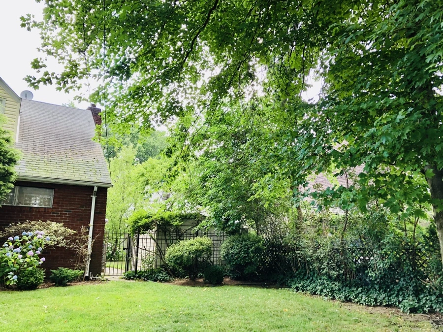 IMG_1682.jpg?type=w966