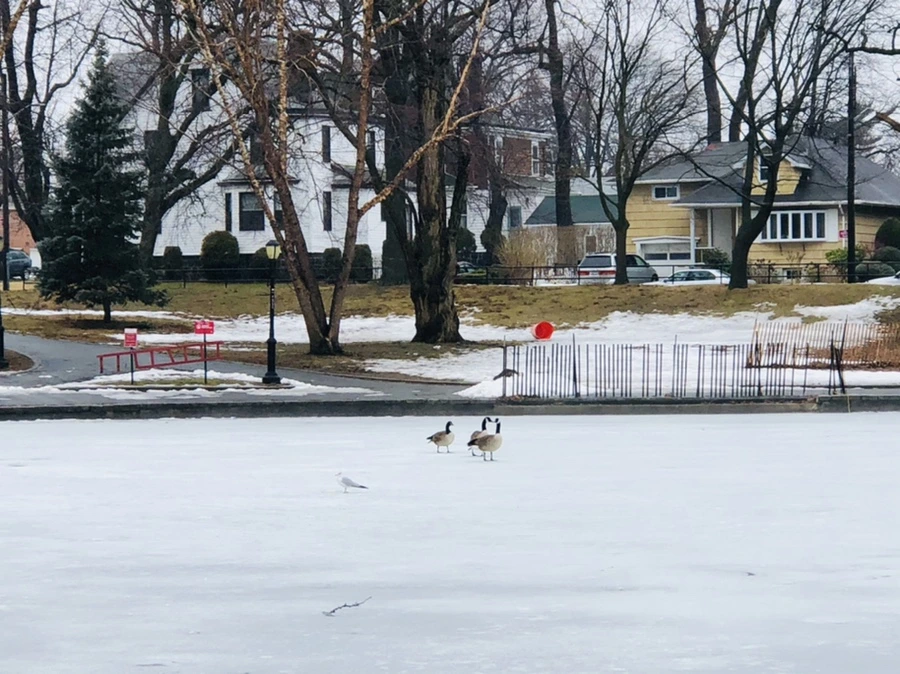 IMG_5628.jpg?type=w966