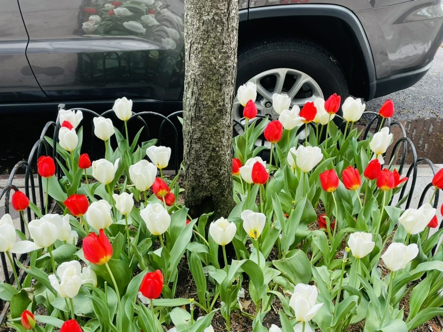 IMG_2547.jpg?type=w966