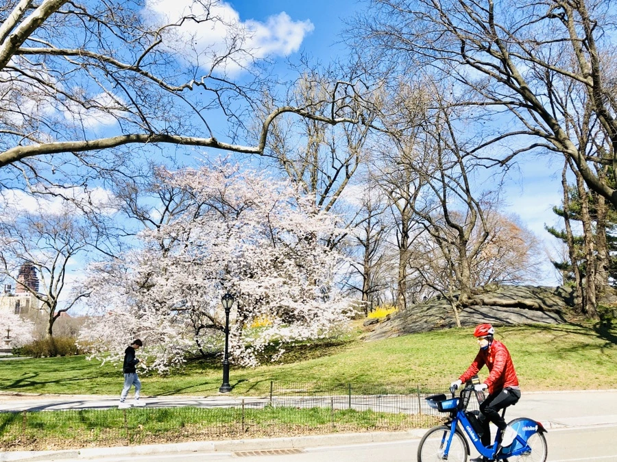 IMG_6806.jpg?type=w966