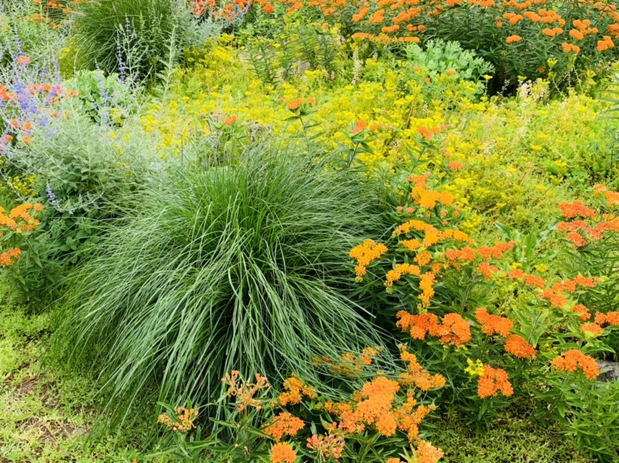 IMG_7215.jpg?type=w966