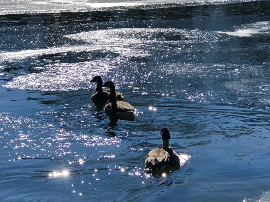 IMG_7776.jpg?type=w966