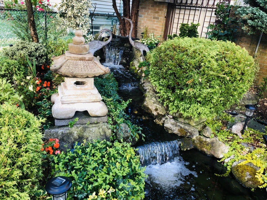 IMG_8973.jpg?type=w966