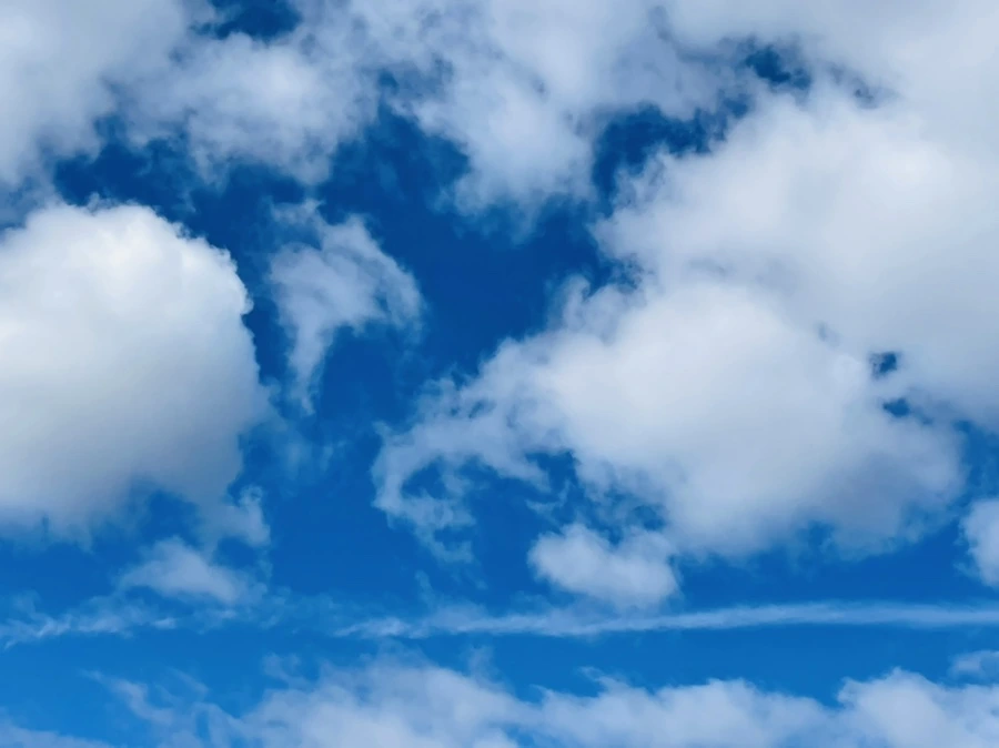 IMG_7595.jpg?type=w966