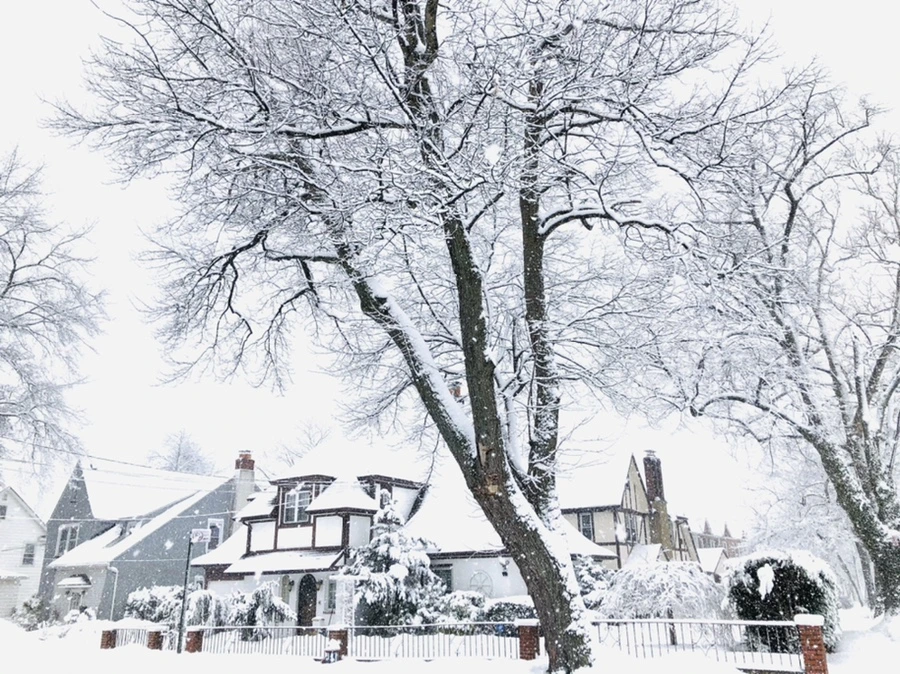 IMG_0975.jpg?type=w966