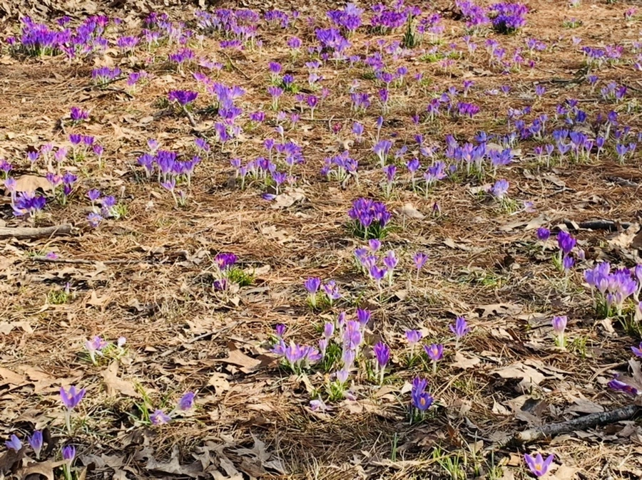 IMG_0179.jpg?type=w966