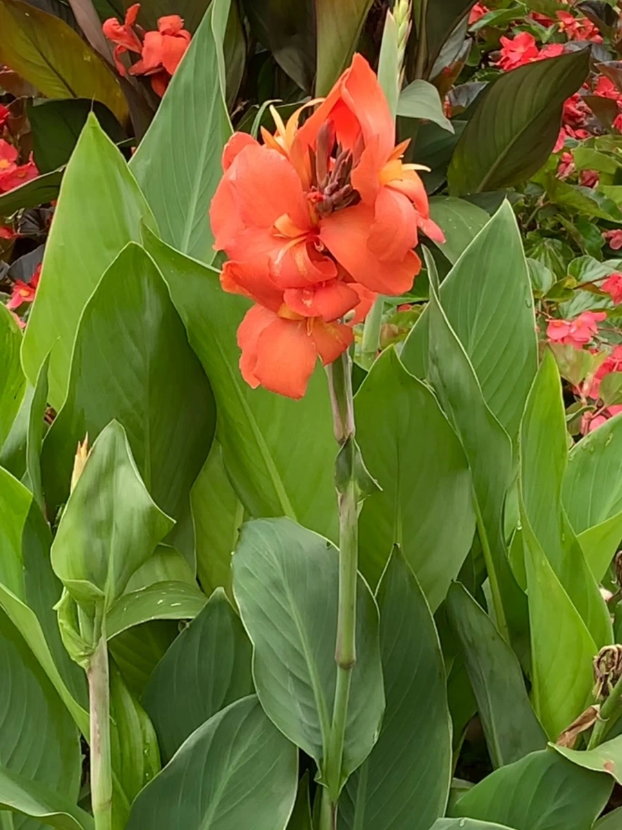 IMG_6983.jpg?type=w966