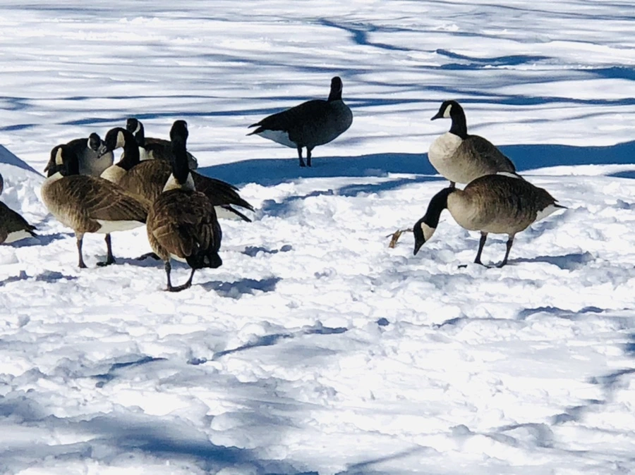 IMG_3966.jpg?type=w966