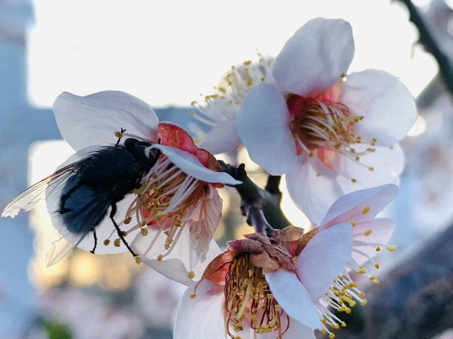 IMG_2724.jpg?type=w966