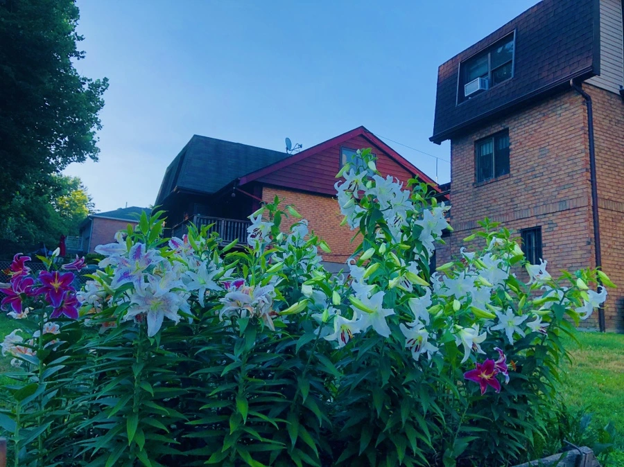 IMG_3735.jpg?type=w966